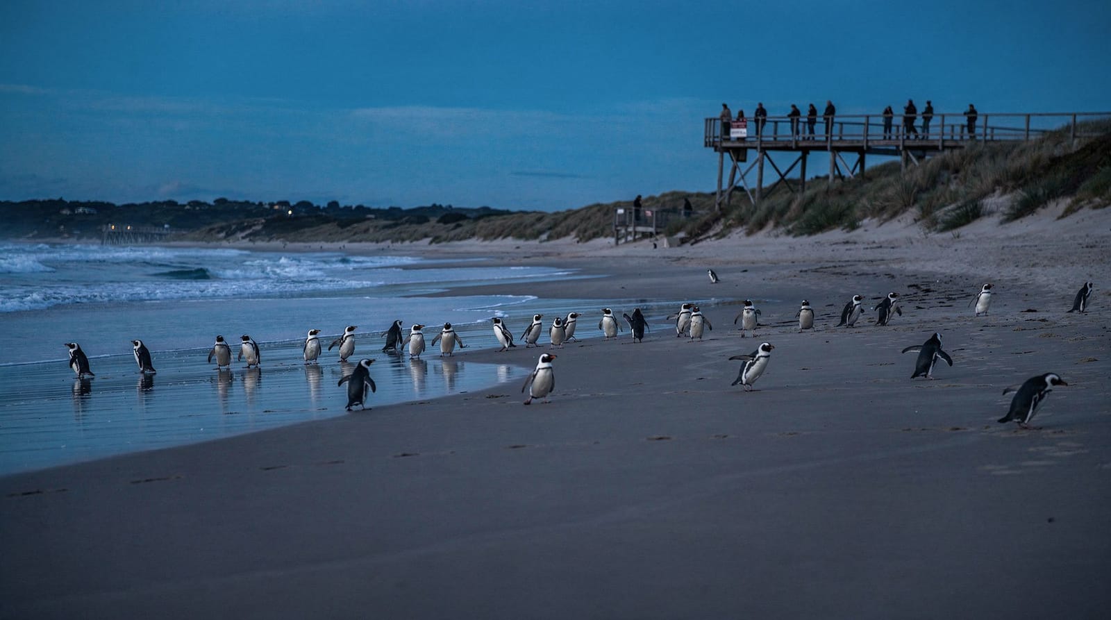 Phillip Island, Melbourne