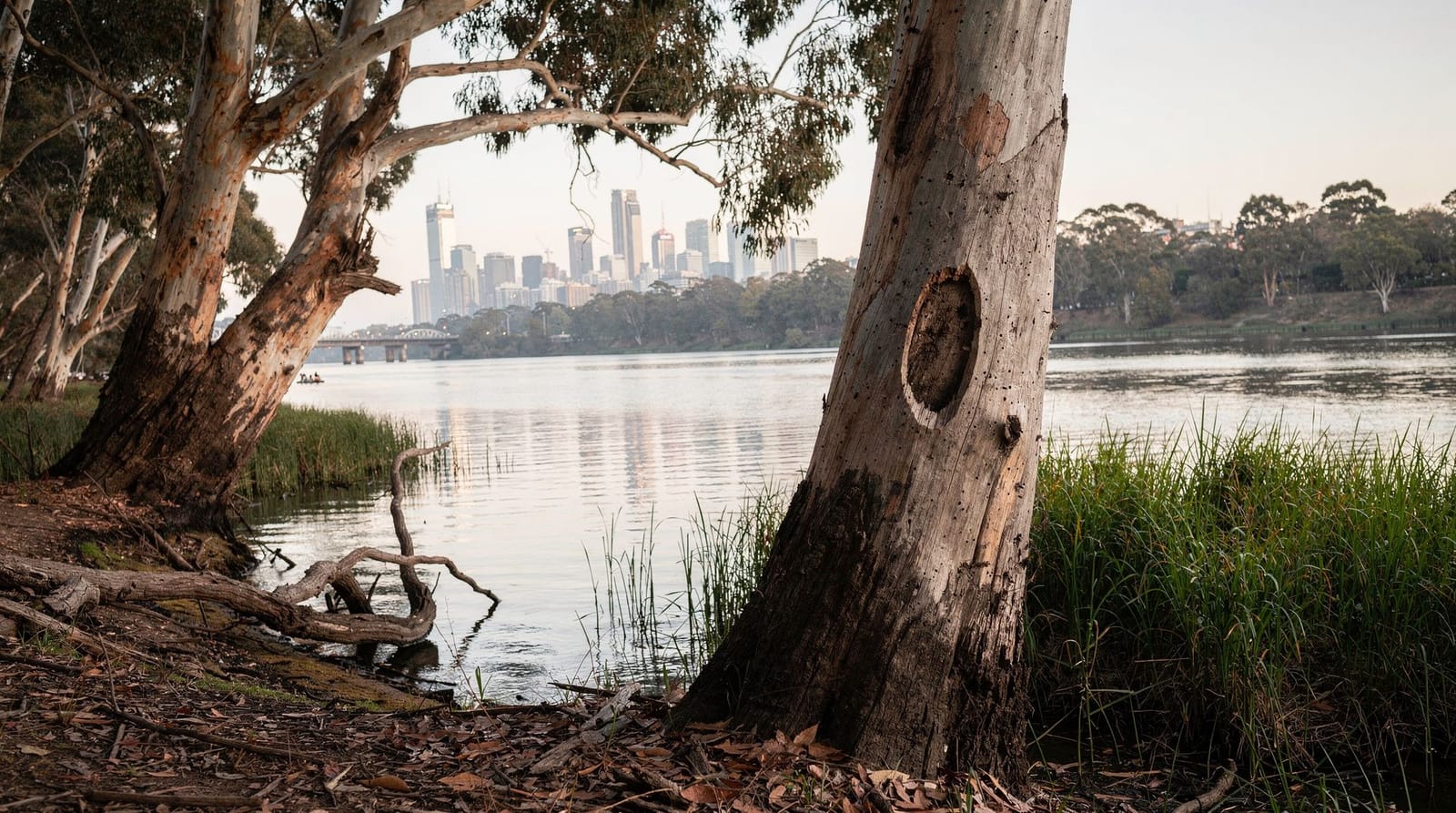 Le patrimoine aborigène à Melbourne : que voir et où — Où découvrir le patrimoine Wurundjeri et Kulin Nation de Melbourne — la balade p