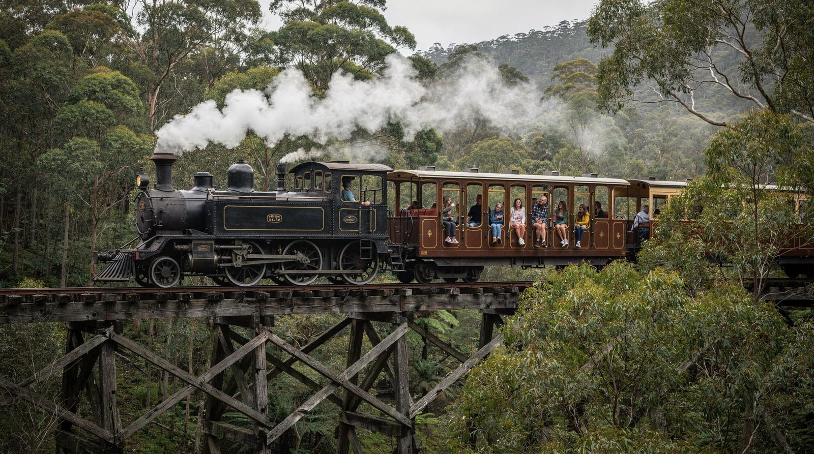 Excursion aux Dandenongs depuis Melbourne : Puffing Billy, balades en forêt et timing — Excursion aux Dandenong Ranges : à une heure de Melbourne pour le train à vapeur