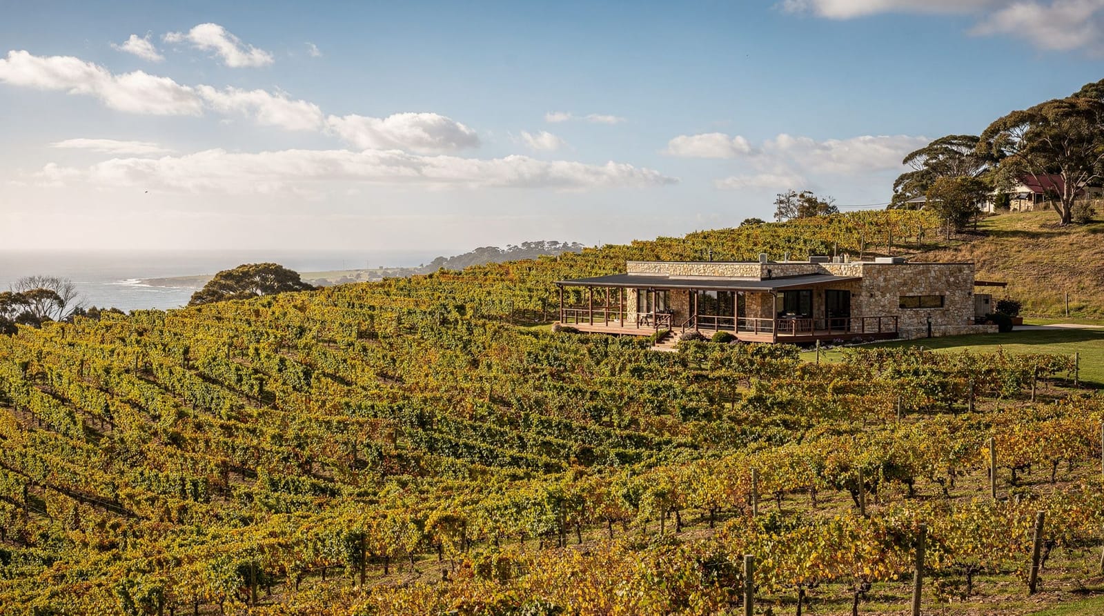 Vignobles de la péninsule de Mornington : vin, côte et sources chaudes en une journée — Les meilleurs vignobles de la péninsule de Mornington, de Ten Minutes by Tractor