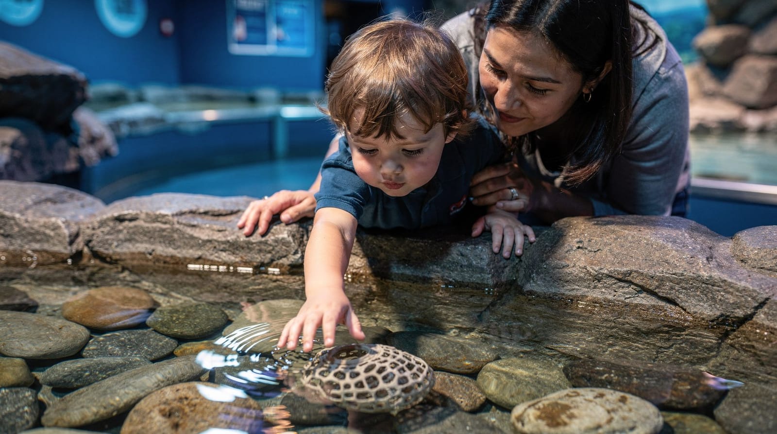 SEA LIFE Melbourne en famille : poussettes, horaires et le combo LEGOLAND — Guide familial de SEA LIFE Melbourne Aquarium — accès poussette, sections adapté