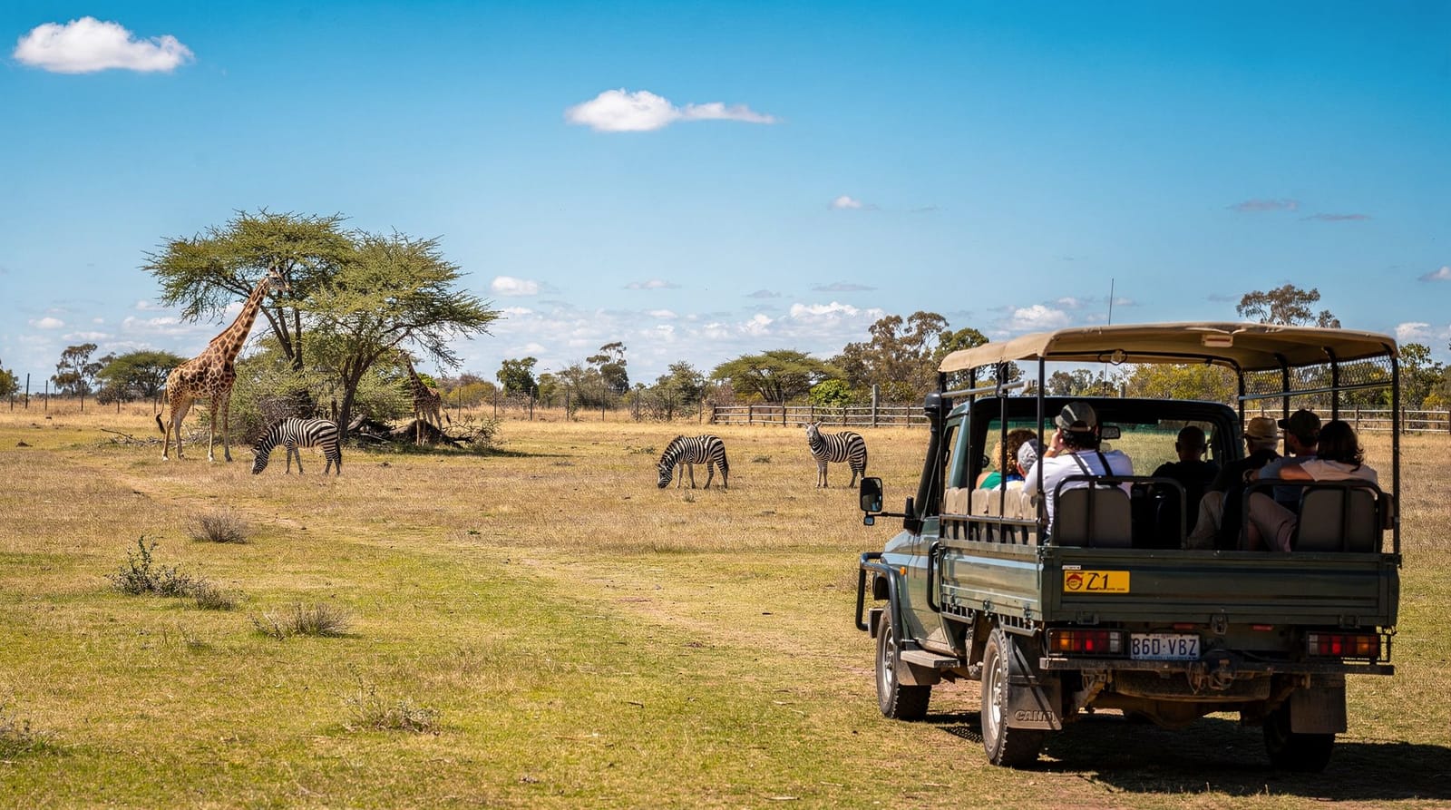 Werribee Open Range Zoo : camions safari et faune africaine près de Melbourne — Le safari en camion de Werribee Open Range Zoo à travers des enclos ouverts de s