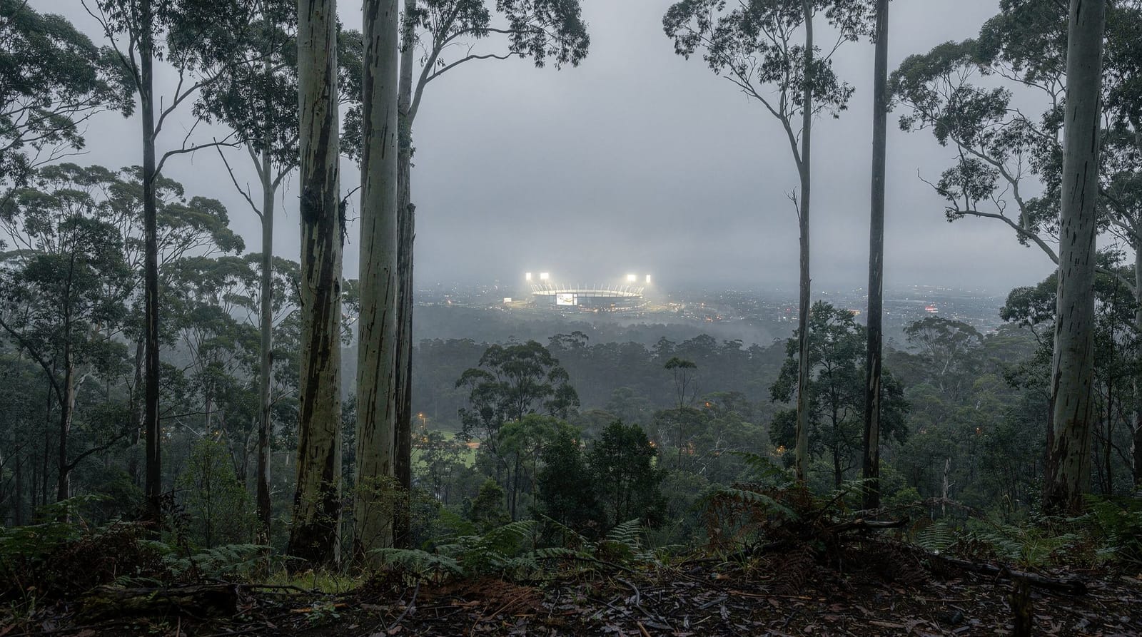 Un lungo weekend invernale a Melbourne: itinerario di 3 giorni per la stagione fredda — Un lungo weekend invernale a Melbourne: laneway e cultura al coperto, l'MCG in s